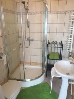 a bathroom with a shower and a toilet and a sink at Dworek Młynarza in Zator