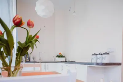 a kitchen with white cabinets and a vase with red tulips at Garden Apartment in Kraków