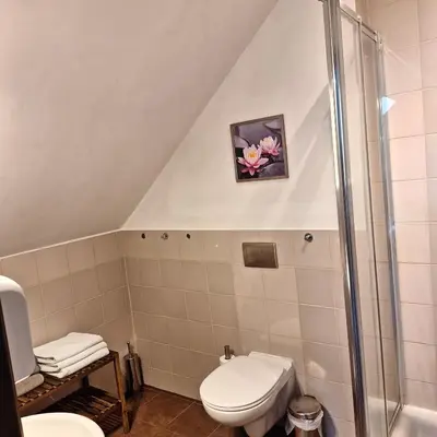 a bathroom with a toilet and a shower at Eko Dom Eturia in Suchoraba