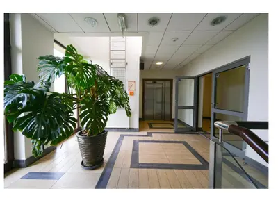 a potted plant in the hallway of an office at Wielopole17 Max Apartment with AC in Kraków
