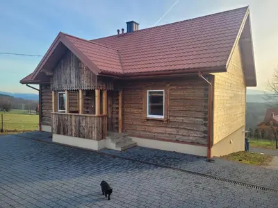 a house with a black cat standing in front of it at Fantastic View Vineyard Beskid Mountains in Gruszów