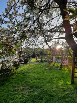 a park with a picnic table and trees in the grass at Gospodarstwo Gościnne Księżycówka in Rajbrot
