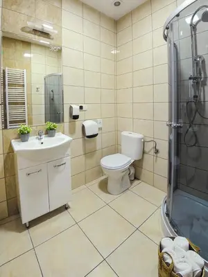 a bathroom with a toilet and a shower and a sink at Hotel Dąbrowski in Oświęcim