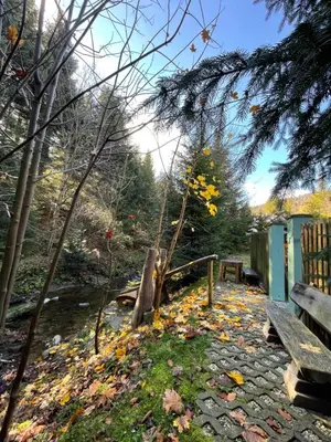 a park with a bench and leaves on the ground at Górskie Zacisze in Zawoja