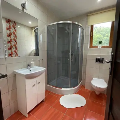 a bathroom with a shower and a sink and a toilet at Górskie Zacisze in Zawoja