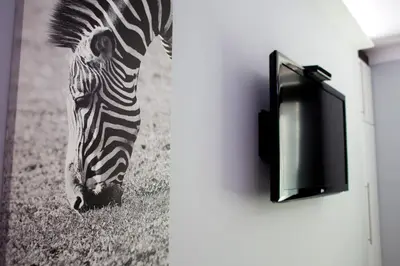 a picture of a zebra hanging on a wall at Angel City MARCO in Kraków