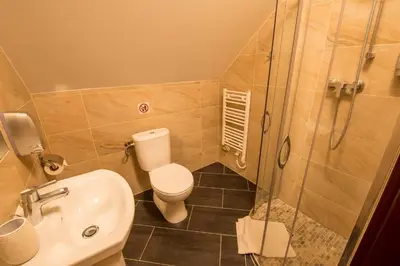 a bathroom with a shower and a toilet and a sink at Aparthotel W Pałacu in Kraków