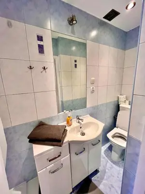 a bathroom with a sink and a toilet at Pokoje Gościnne Wiślna in Kraków