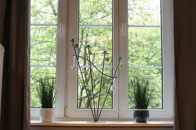 a window with three potted plants on a window sill at Cichy apartament w centrum Krakowa Salwator in Kraków