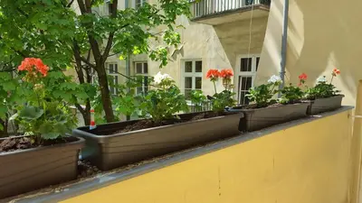 a row of potted plants on a balcony at Apartment Katamaran in Kraków