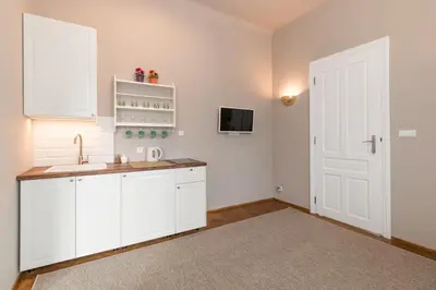 a kitchen with a sink and a counter top at Delis Apartments - Dluga Street 11/3 in Kraków