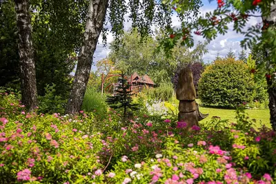 a potted tree and flowers in front of a building at Chochołowy Dwór in Jerzmanowice
