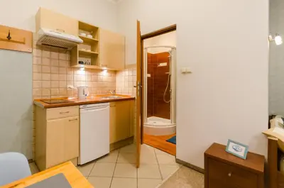 a small kitchen with a sink and a shower at Central Krak Apartments - studios in Kraków