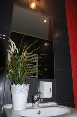 a bathroom with a potted plant on a sink at Pokoje Bakos Radocza in Radocza
