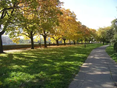 a path in a park with trees and grass at Kazimierz Apartment in Kraków