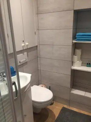 a bathroom with a toilet and a sink at Apartament Romantic in Oświęcim