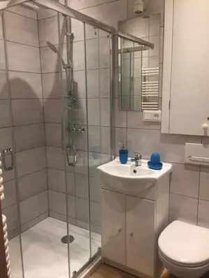 a bathroom with a shower and a sink and a toilet at Apartament Romantic in Oświęcim