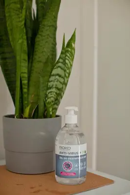 a bottle of rxoxamine next to a potted plant at Hostel 33 in Trzebinia