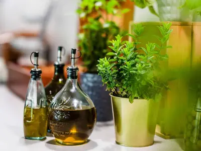 three bottles of wine and a potted plant on a counter at Dosłońce Resort Wellness & Farm in Racławice