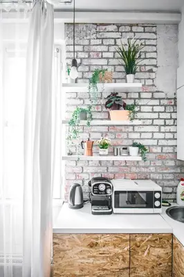 a kitchen with a brick wall with potted plants at LION apartments - Gold in Kraków