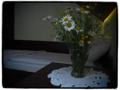 a vase of flowers sitting on a table at Willa Zacisze - Apartament dwupoziomowy in Kalwaria Zebrzydowska