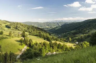 a view of a valley with trees and mountains at Wasielówka in Poręba Wielka