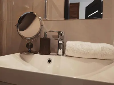 a bathroom with a toilet and a shower and a sink at Wasielówka in Poręba Wielka