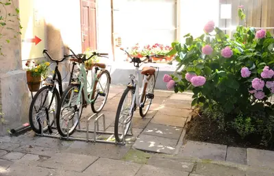 two bikes are parked next to some flowers at Florianska Apartment in Kraków