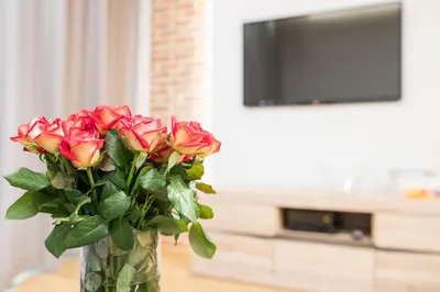 a vase filled with red roses in front of a tv at CityHeaven with parking and AC in Kraków