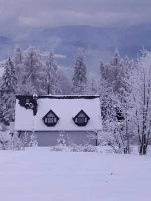 a house covered in snow in a field with trees at domek simonka zawoja in Zawoja