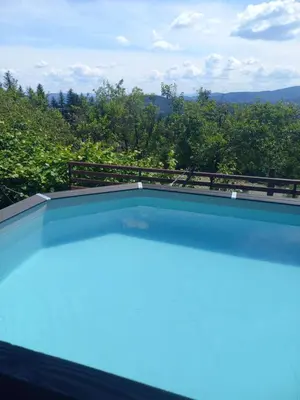 a swimming pool with a view of some trees at domek simonka zawoja in Zawoja
