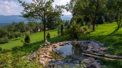 a pond in the middle of a grassy field at domek simonka zawoja in Zawoja