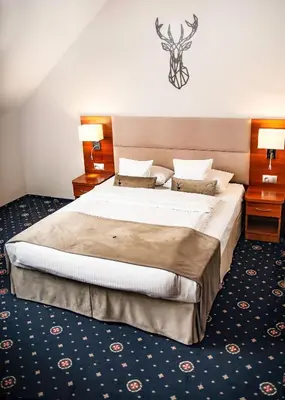 a bedroom with a large bed and two night stands at ParkHotel Łysoń in Inwałd