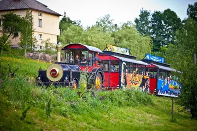 a small train in a field with people on it at ParkHotel Łysoń in Inwałd