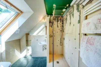 a bathroom with a shower and a toilet and a sink at Pokoje na stoku Czarny Groń in Rzyki