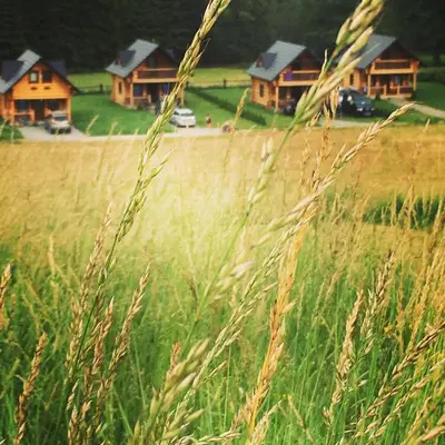a field of tall grass with houses in the background at Domki,,Chatki Góralskie 