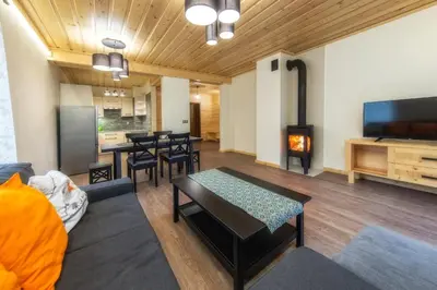 a living room with a table and a fireplace at Apartamenty 58 Czarny Groń in Rzyki