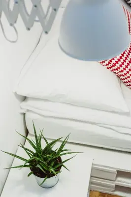 a plant sitting on a table next to a lamp at City Center Apartment by CityBeat in Kraków