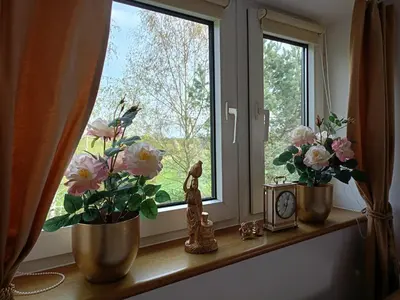 a window sill with flowers and a clock on it at Willa Krakowia in Krzeszowice