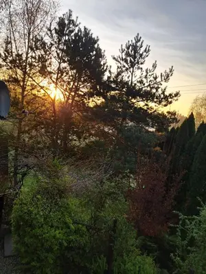 a view of the sun setting through the trees at Willa Krakowia in Krzeszowice