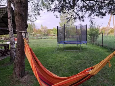 a hammock tied to a tree in a yard at Willa Krakowia in Krzeszowice