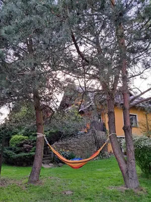 an orange hammock hanging between two trees in a yard at Willa Krakowia in Krzeszowice