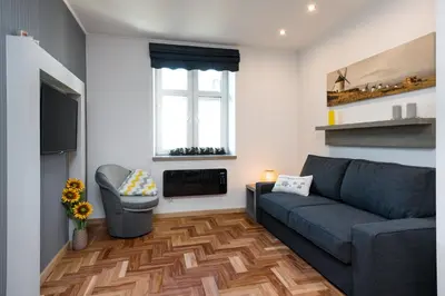 a living room with a couch and a fireplace at Sunflower Apartment in Kraków