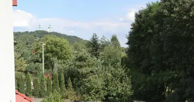 a forest of trees with a mountain in the background at Villa Sofia in Kraków