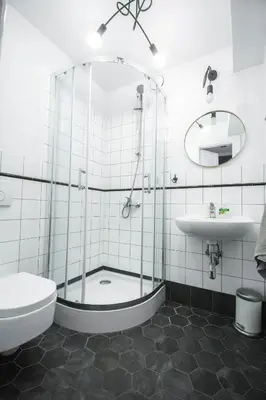 a bathroom with a shower and a toilet and a sink at LION apartments - SILVER in Kraków