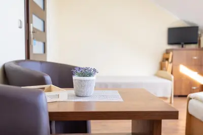 a wooden table with a potted plant on top of it at Pokoje Goscinne u Florka in Słopnice