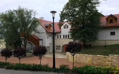 a large house with a street light in front of it at Hotel Vinnica in Wieliczka