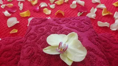 a pink blanket with a white flower on it at Jacuzzi Apartment Red in Kraków