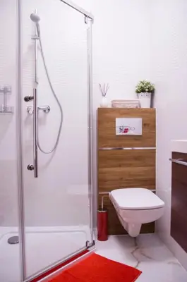 a bathroom with a shower with a toilet and a red rug at Jacuzzi Apartment Red in Kraków