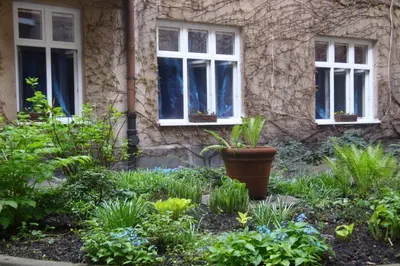 a garden in front of a house with windows at Apartament Jonek in Kraków